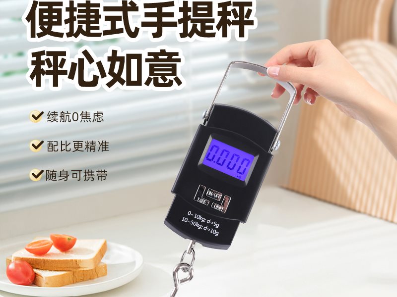 Hanging Scale KM-509
