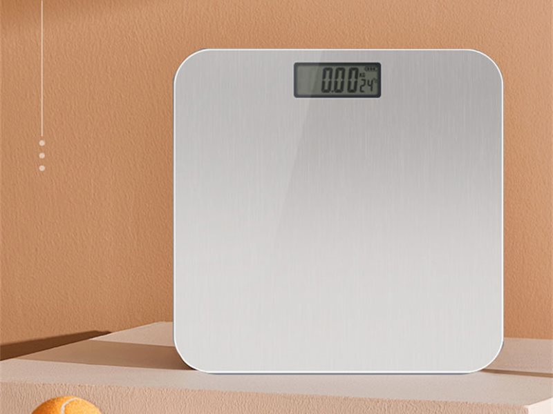 Stainless Steel Body Weight Scale